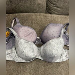 Cacique bra bundle 44D
